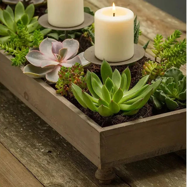 Reclaimed Pine Farmhouse Four-Candle Centerpiece