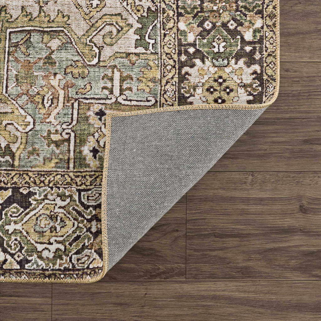 Neyland Sage Vintage-Inspired Farmhouse Rug