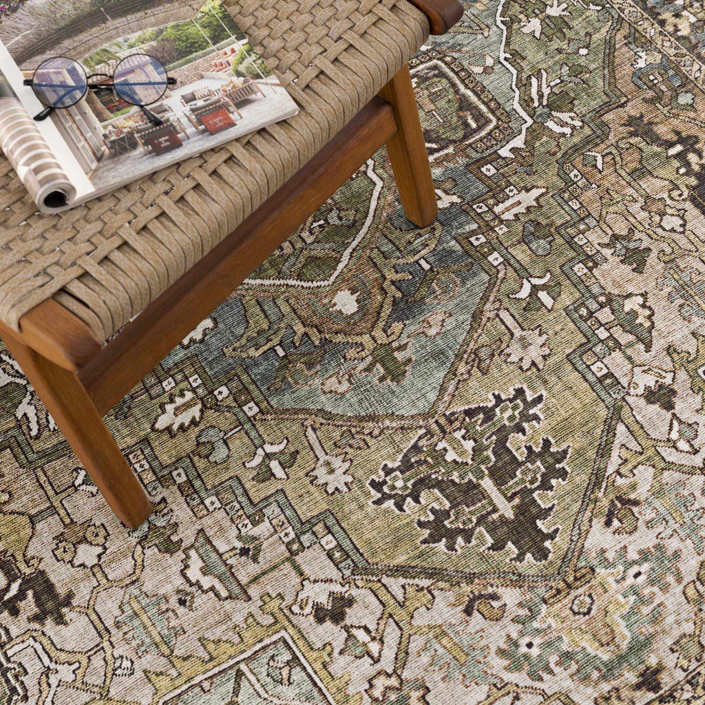 Neyland Sage Vintage-Inspired Farmhouse Rug