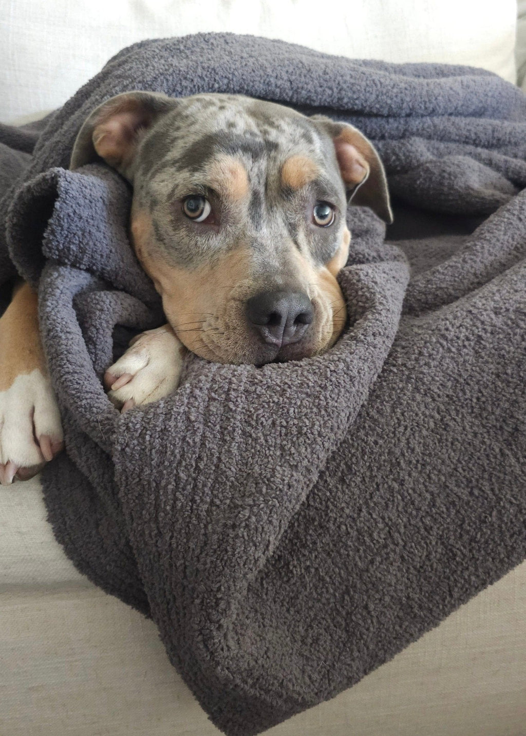 Cozy Textured Farmhouse Nest Throw Blanket