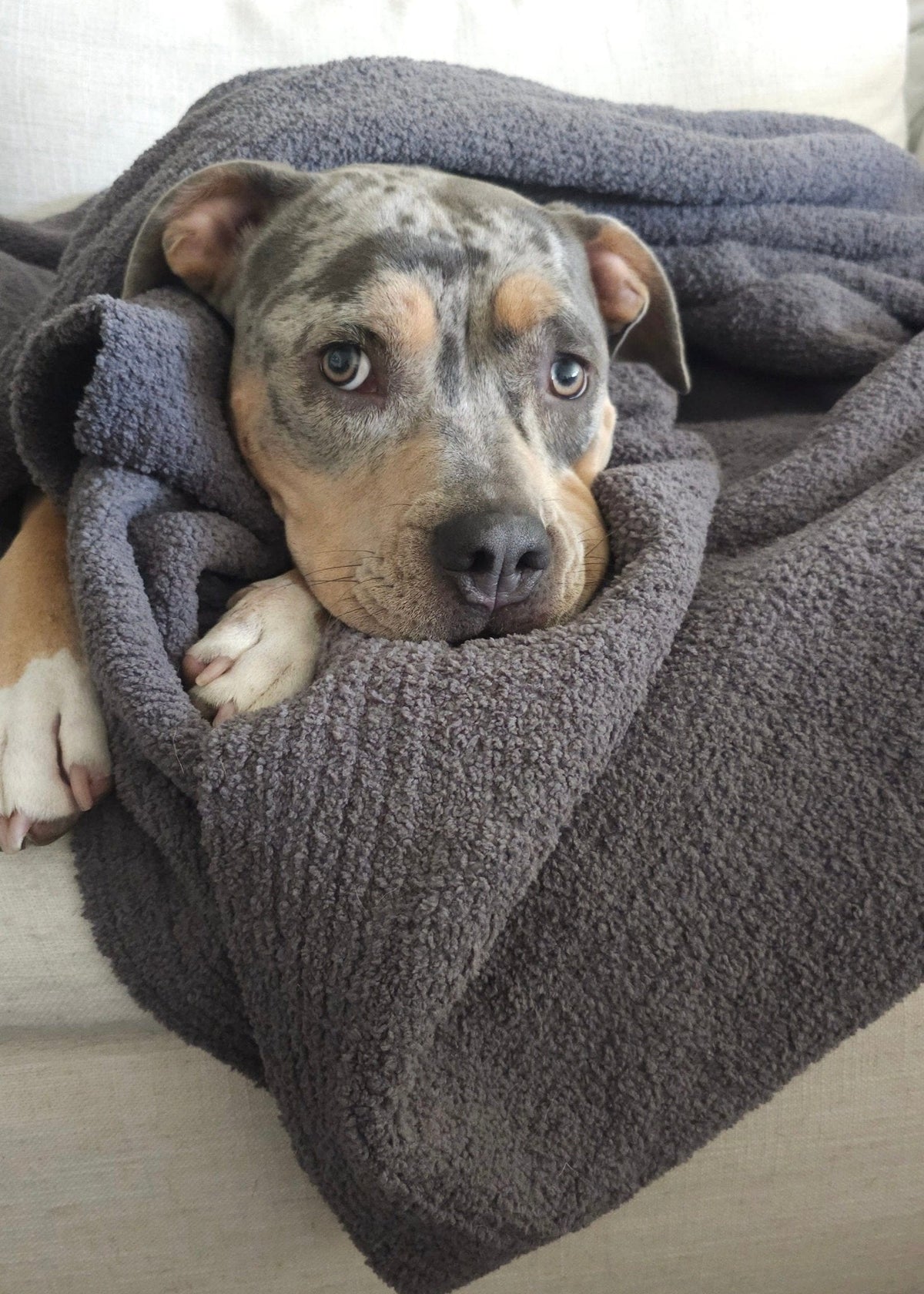 Cozy Textured Farmhouse Nest Throw Blanket