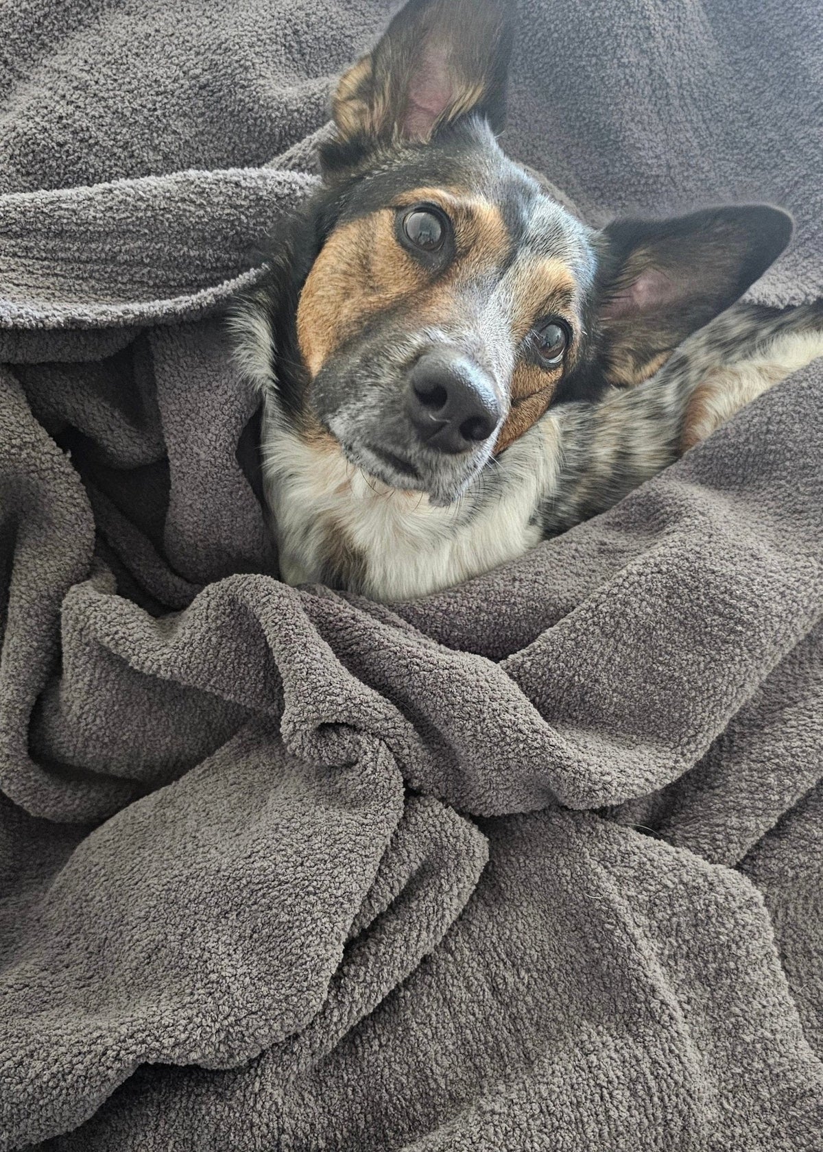 Cozy Textured Farmhouse Nest Throw Blanket
